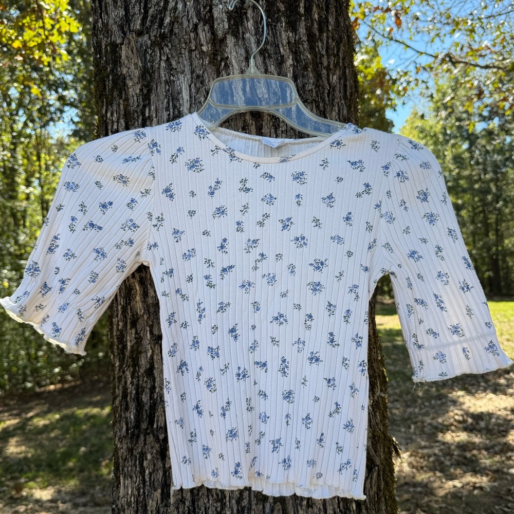 Zara Blue and Cream Ribbed Floral Top